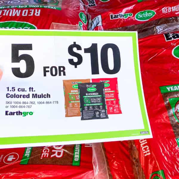 daily sale